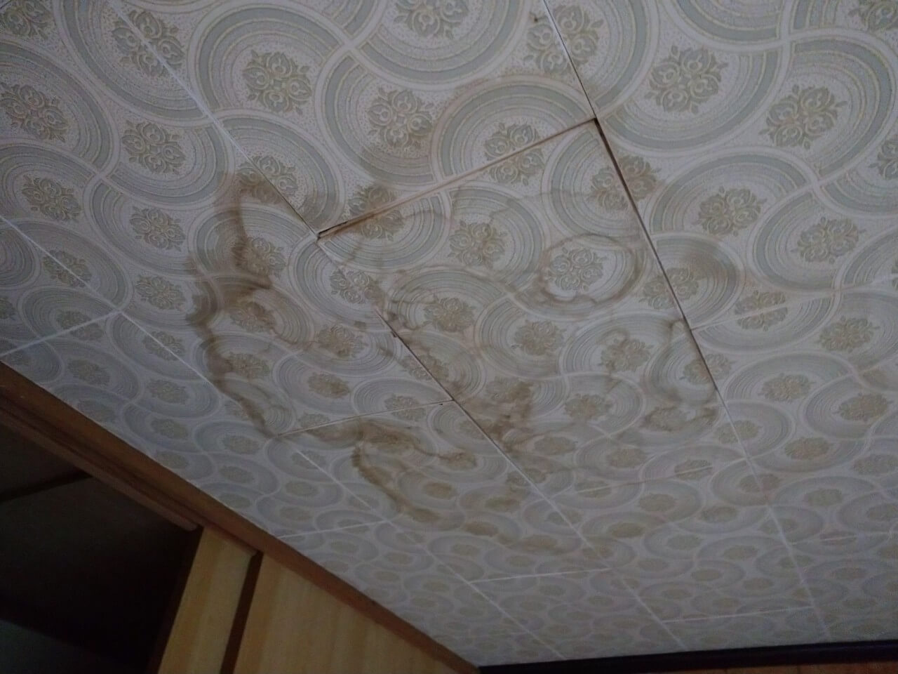 雨漏りの影響で天井にできた染みや水跡がある。